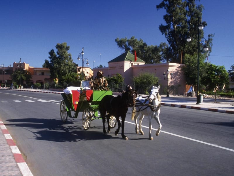 Marrakech - Circuit botanique et jardins Majorelle - Photo 2