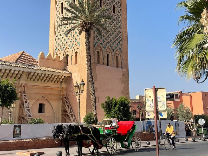 Marrakech: Palazzo Bahia, Madrassa e Souk - Tour guidato - Photo 3
