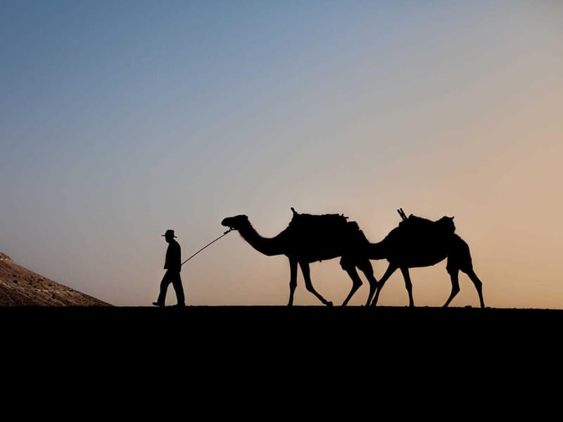 Marrakech : Excursion dans le désert d'Agafay en quad et à dos de chameau avec dîner - Photo 3