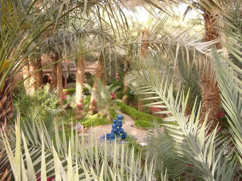 Au départ de Ouarzazate : Circuit de 2 jours dans le désert de l'Erg Lihdoui et des Mhamids - Photo 3