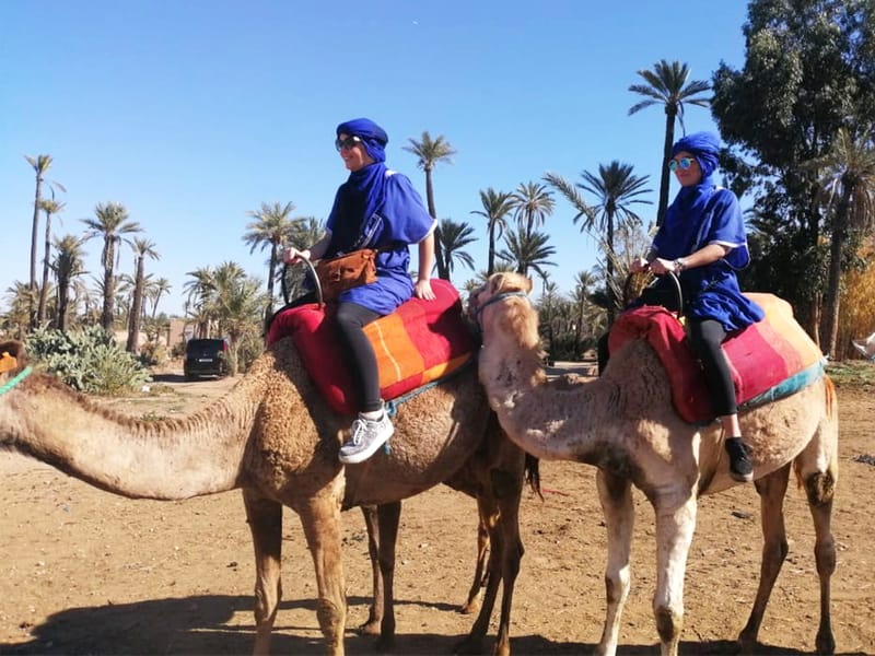 Palmeraie de Marrakech : balade à dos de chameau et expérience en quad - Photo 2