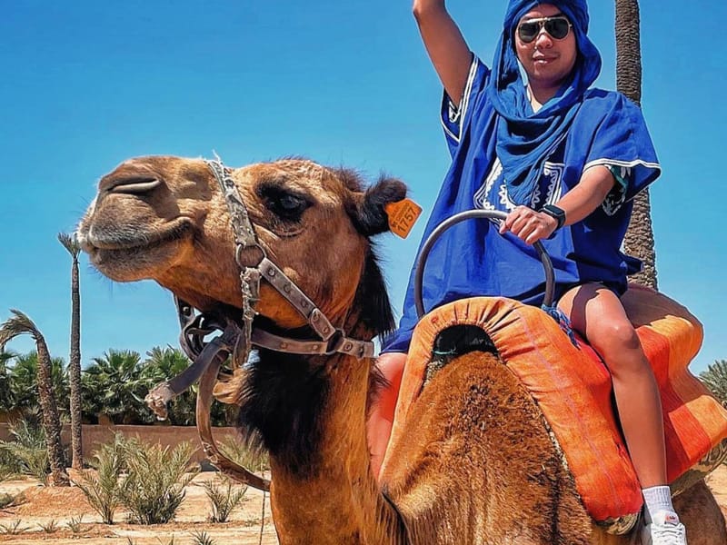 Au départ de Marrakech : excursion d'une demi-journée dans le désert en quad avec balade à dos de chameau - Photo 2