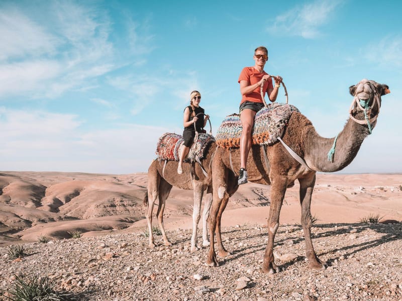 Au départ de Marrakech : Excursion privée d'une journée dans les montagnes de l'Atlas avec déjeuner - Photo 3