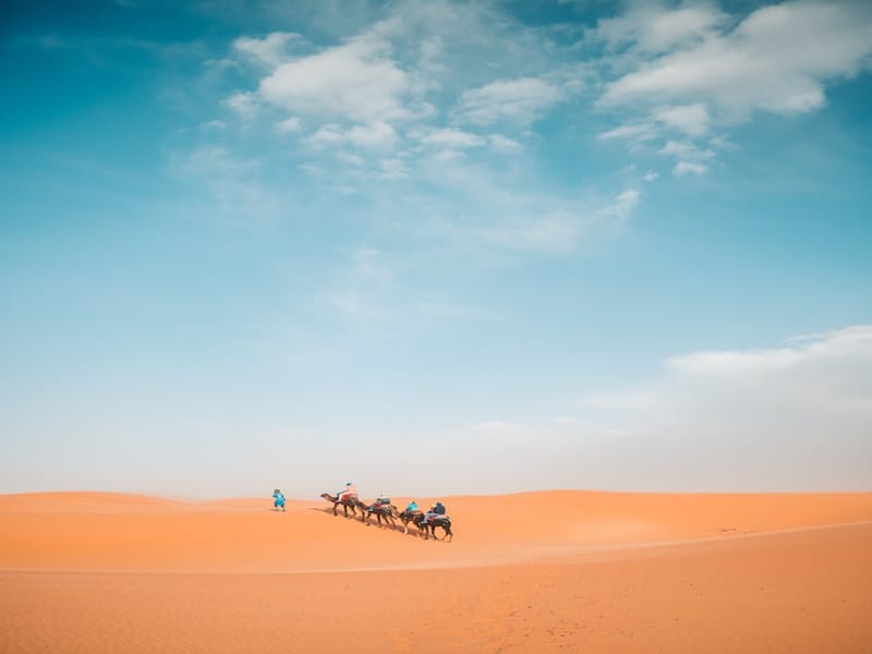 Le circuit de luxe de 2 jours et 1 nuit dans le désert, de Fès à Fès/Marrakech - Photo 2