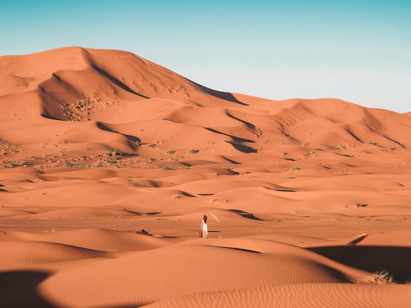 Le circuit de luxe de 2 jours et 1 nuit dans le désert, de Fès à Fès/Marrakech - Photo 3