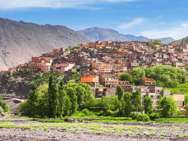 Marrakech : Atlas, balade à dos de chameau, cascades et déjeuner - Photo 2