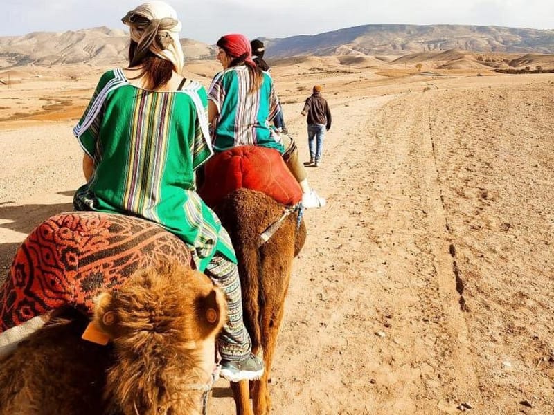 Marrakech : Montagnes de l'Atlas, désert d'Agafay, cascade et déjeuner - Photo 2