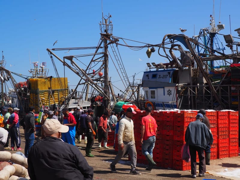 Depuis Marrakech : excursion d'une journée à Essaouira - Photo 3