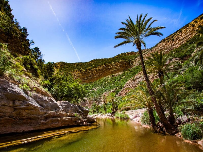 Agadir : Vallée du Paradis, dunes de sable du désert et quad - Photo 3