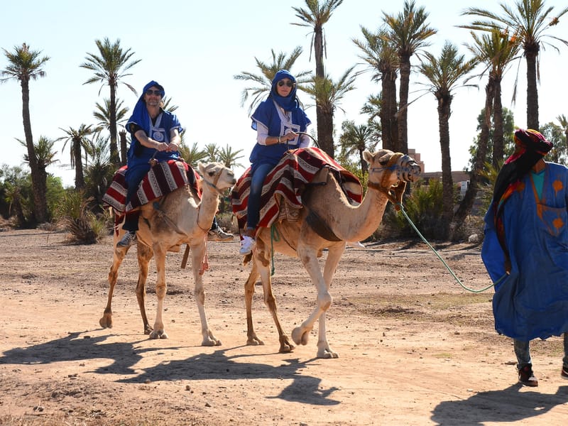 Balade à dos de chameau dans la Palmeraie de Marrakech avec pause thé - Photo 2