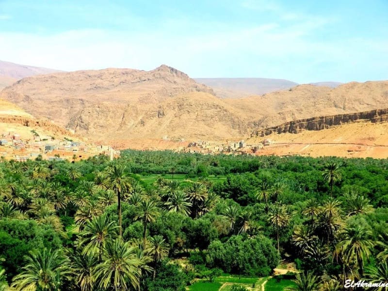 Visite privée de 4 jours dans le désert de Marrakech à Merzouga - Photo 3