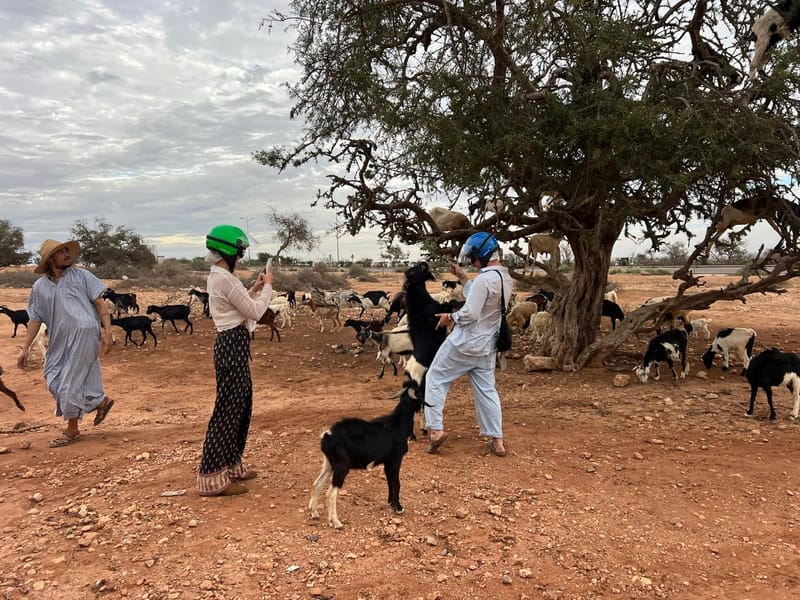 Agadir : safari en quad avec Crocoparc en option - Photo 3