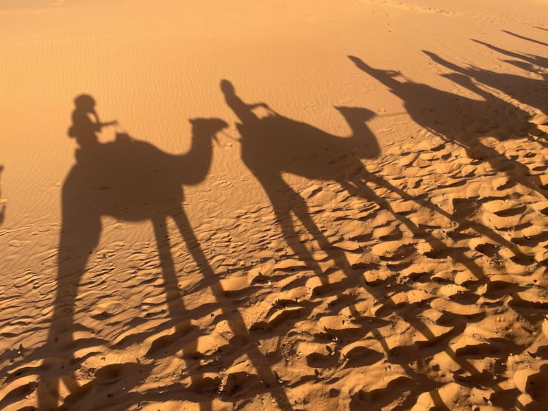 Fès : Transfert à Merzouga - Photo 2