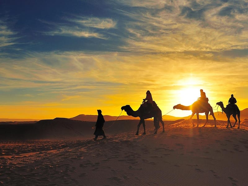 Depuis Marrakech : excursion de luxe de 2 jours dans le désert de Zagora et balade en chameau - Photo 2