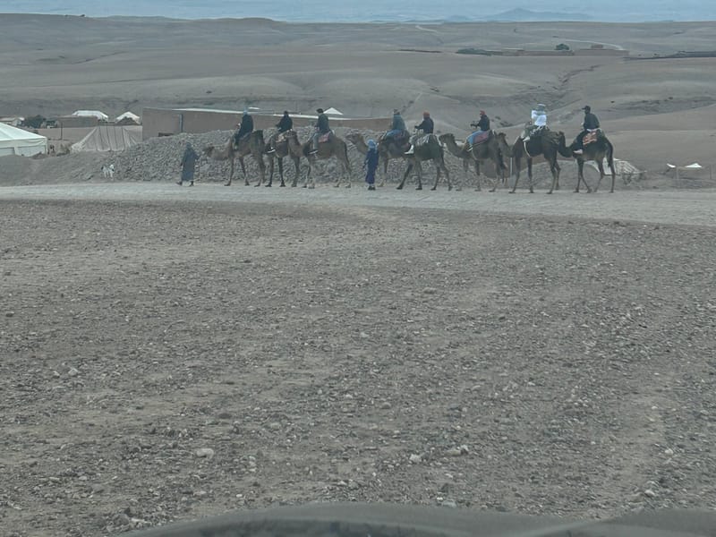 Marrakech : Balade à dos de chameau dans le désert d'Agafay ou randonnée en quad - Photo 3
