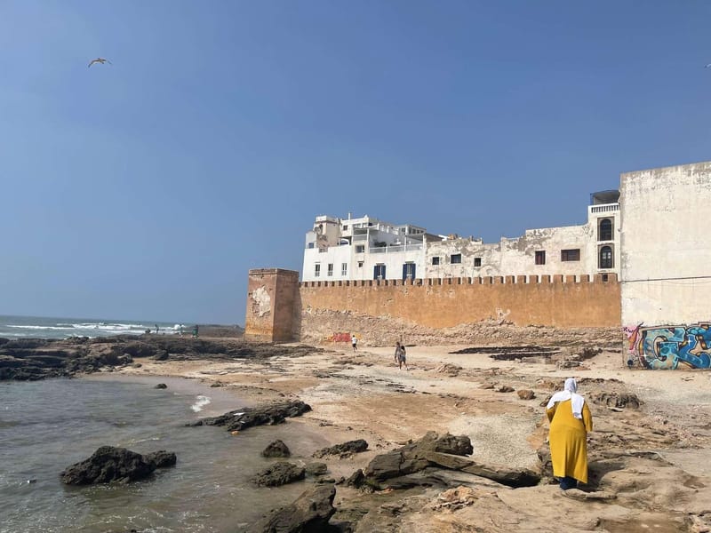 Marrakech à Essaouira : excursion d'une journée en petit groupe et coopératives - Photo 3