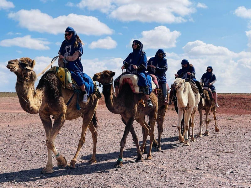 Balade à dos de dromadaire dans le désert Palmeraie Marrakech - Photo 3