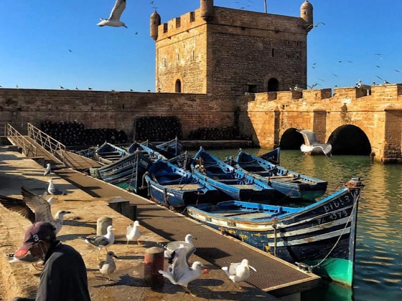 Depuis Marrakech : découvrez Essaouira, ses plages et sa culture - Photo 2