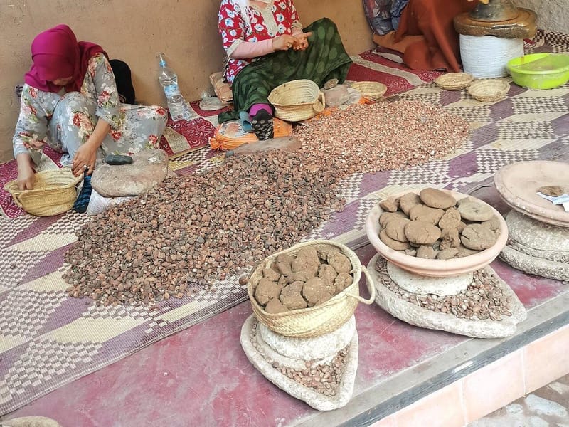 Marrakech : Atlas, vallée de l'Ourika, cascade et guide - Photo 2