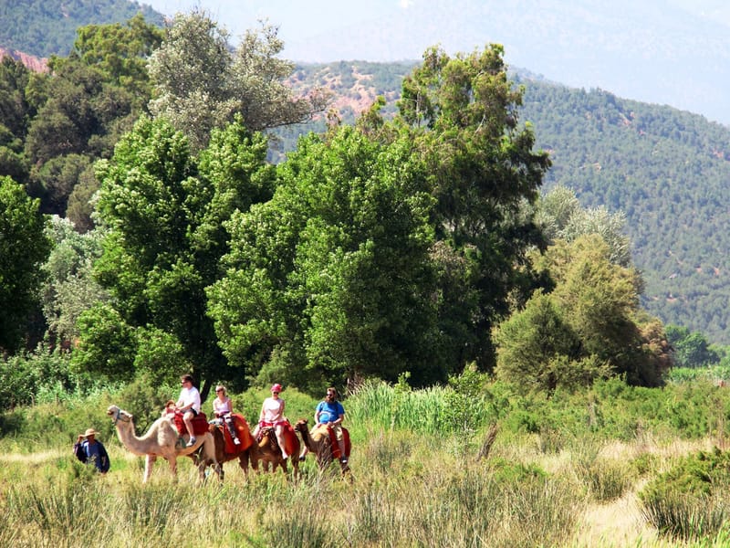 Depuis Marrakech : randonnée au sommet du Tihlatin et déjeuner pique-nique - Photo 2