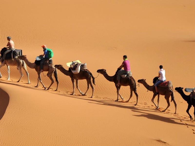 Depuis Marrakech : excursion de 3 jours dans le désert de Merzouga et le Sahara - Photo 2