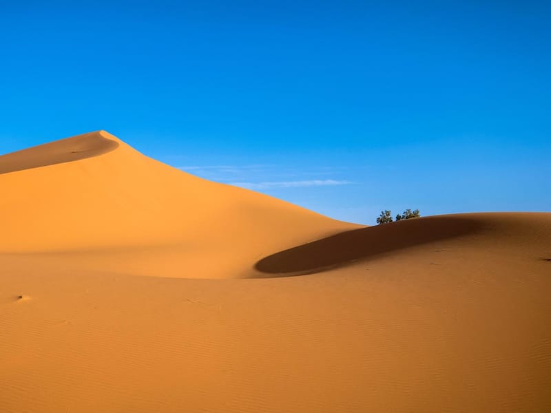 Aventure de 3 jours dans le désert du Sahara, de Ouarzazate à Erg Chegaga - Photo 2