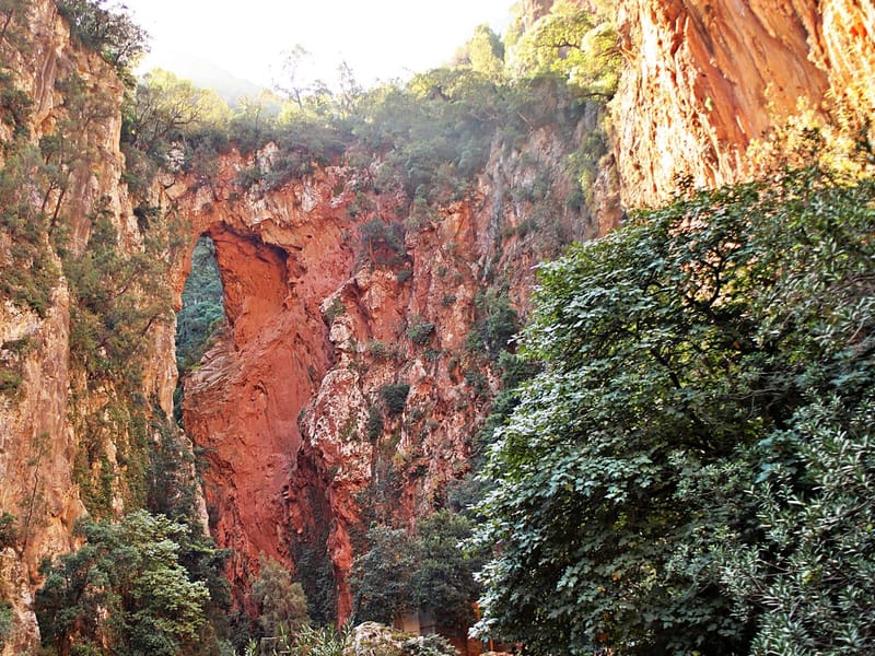 Depuis Chefchaouen : excursion d'une journée aux cascades d'Akchour - Photo 3