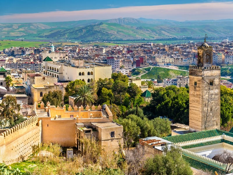 Excursion d'une journée de Casablanca à Fès - Photo 3