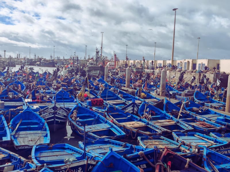 Marrakech : excursion à Essaouira et Skalla avec option déjeuner - Photo 2
