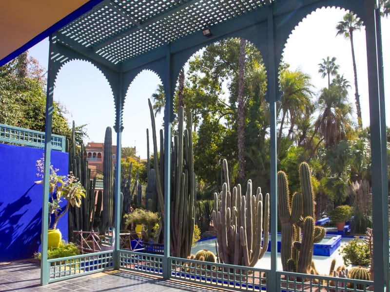 Marrakech - Circuit botanique et jardins Majorelle - Photo 3