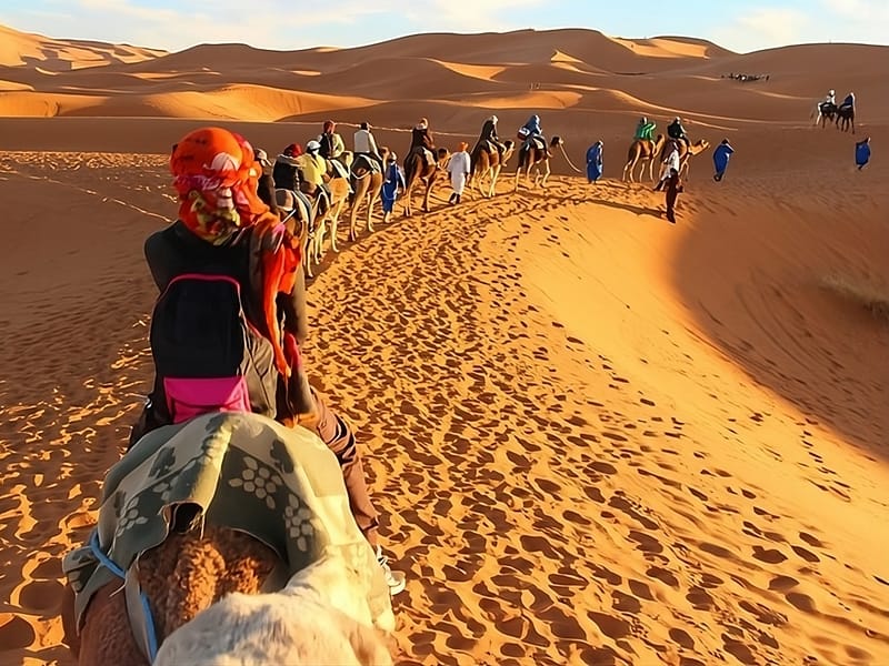 Fès : Excursion de 2 jours dans le désert à Merzouga (1 nuit), retour à Fès - Photo 2