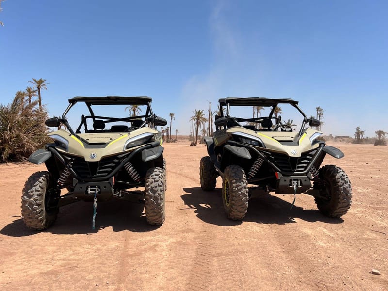 Marrakech: tour in dune buggy 1000cc nell'oasi delle palme e nel deserto di Jbilat - Photo 3