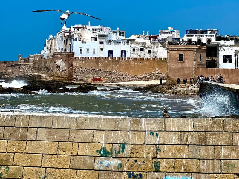 Au départ de Marrakech : Excursion d'une journée à Essaouira avec transferts - Photo 2