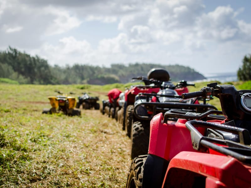 Aventure en plein air à Fès : balade en quad, photo avec un chameau et thé à la menthe - Photo 2