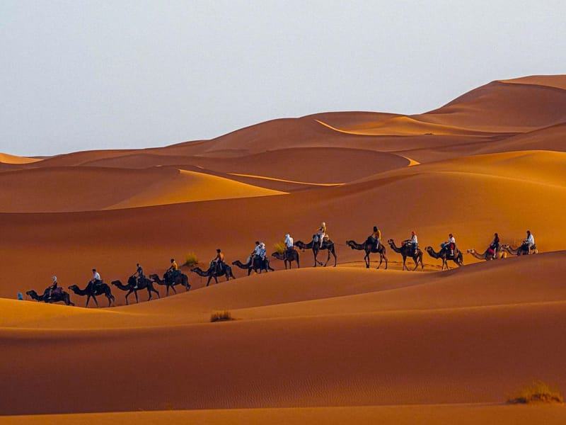 Fès : Circuit de 3 jours dans le désert jusqu'à Agadir via le désert de Merzouga - Photo 2
