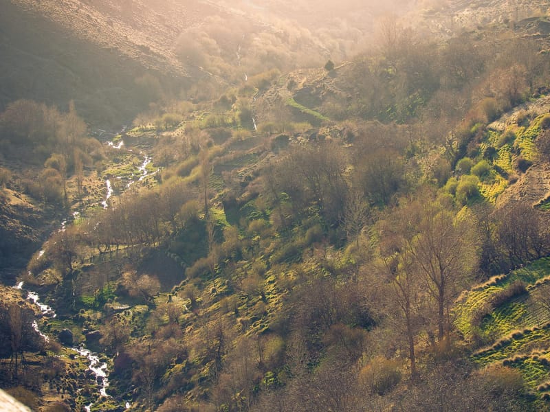 Au départ de Marrakech : Circuit en voiture dans les montagnes de l'Atlas et le désert du Sahara - Photo 3