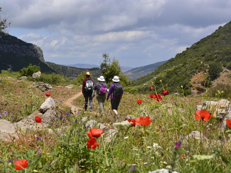 Chefchaouen : randonnée de 3 jours dans le Rif avec guide - Photo 3