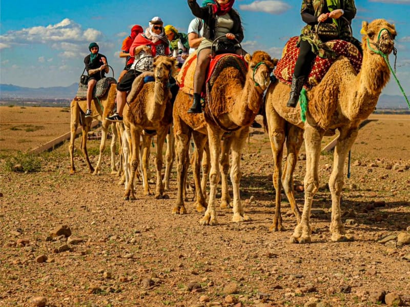 Depuis Marrakech : balade à dos de chameau dans le désert d'Agafay, dîner et spectacle du feu - Photo 3