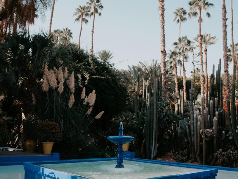 Marrakech Majestueuse et Atlas Éternel : Voyage Privé pour Amateurs de Luxe - Photo 3