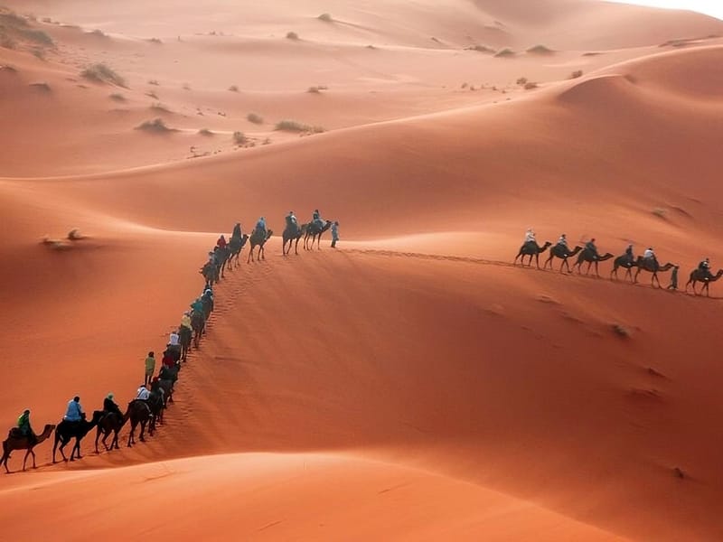 Fès : 2 jours d'excursion dans le désert à Merzouga (1 nuit), Marrakech - Photo 3