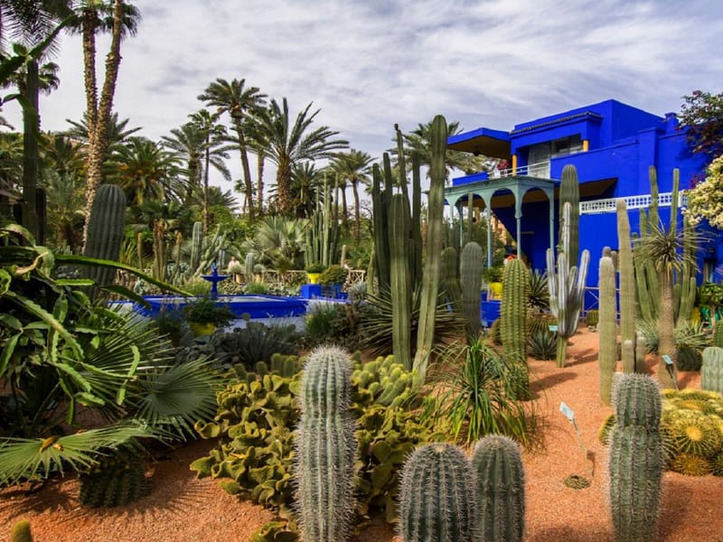 Agadir : expérience guidée d'une journée à Marrakech avec la médina et le souk - Photo 3