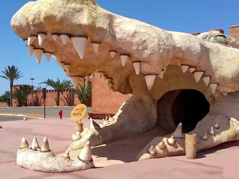 Marrakech : excursion privée d'une journée à Agadir et au parc des crocodiles - Photo 2