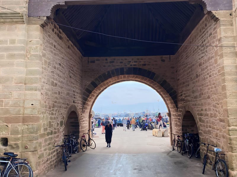 Excursion à Essaouira - Photo 3