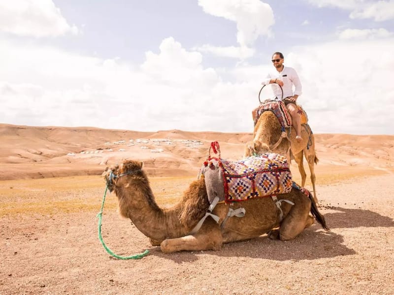 Marrakech: Atlasgebergte, Agafay-woestijn, lunch, kamelenrit - Photo 2