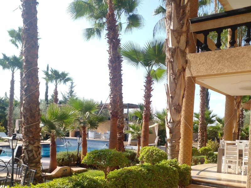 Marrakech : Visite à pied de la ville (traditionnelle, bazar, vieille ville) - Photo 3