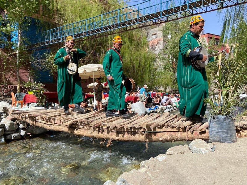 Marrakech : Atlas, vallée de l'Ourika, cascade et guide - Photo 3