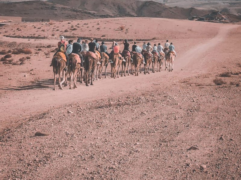 Désert d'Agafay : 30 minutes de quad, balade en chameau et dîner - Photo 3