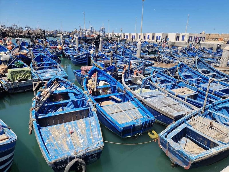 Marrakech à Essaouira : excursion d'une journée en petit groupe et coopératives - Photo 2