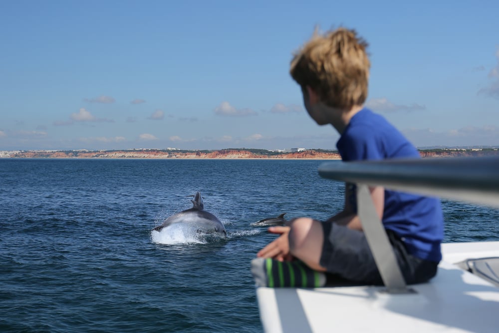 EXCLUSIVE VILAMOURA: Dolphin Quest & Marine Life Search