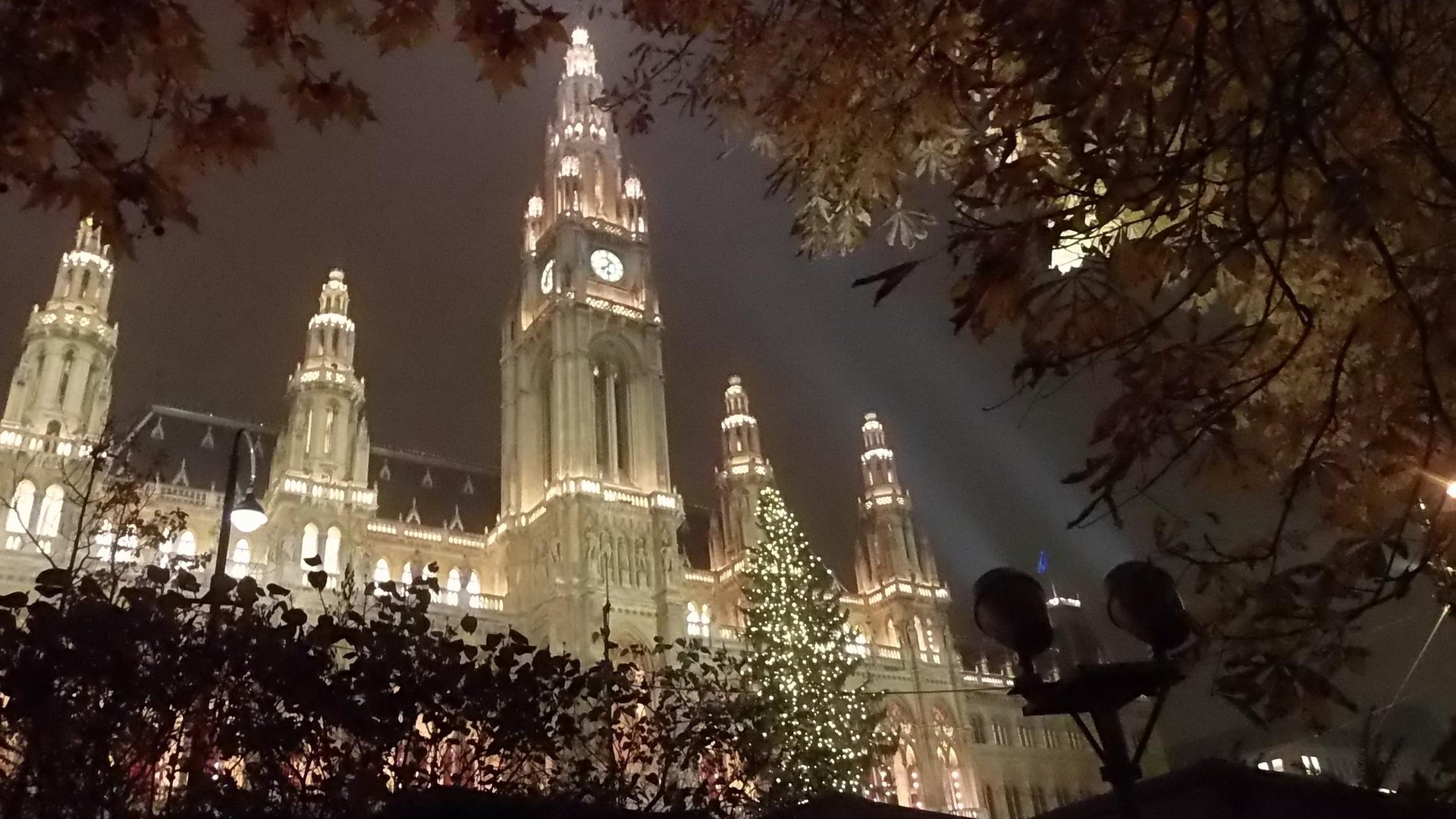 Vienna City Hall at night with the lit Christmas tree of the Rathausplatz market